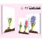 供應(yīng)雅賞0.9CM薄板雅賞無框畫裝飾畫掛畫