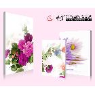 供應(yīng)雅賞雅賞0.9CM薄板無框圖雅賞高品質(zhì)無框畫