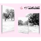 供應(yīng)雅賞40x40上海雅賞時(shí)尚無框畫