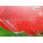 供應(yīng)相之寶2801#相之寶冷裱膜