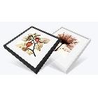 DF6010東方畫(huà)庫(kù)透明花現(xiàn)代簡(jiǎn)約三聯(lián)裝飾畫(huà)客廳現(xiàn)代有框畫(huà)壁畫(huà)掛畫(huà)