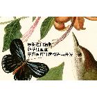 DF5063-2 新中式古典美克美家裝飾畫 奧杜邦圖譜 匠心原創(chuàng)！