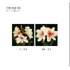 進口花卉寫真油畫畫心裝飾畫畫芯批發(fā)噴畫加工