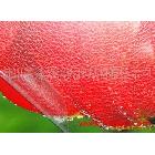 供應(yīng)相之寶2804相之寶冷裱膜2804皮紋膜