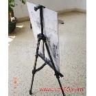 供應(yīng)生彩TL-XL深圳生彩