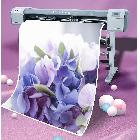 供應(yīng)樂彩58005800樂彩5800