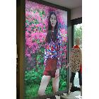 供應高精度高清晰寬幅燈片、無網燈箱布