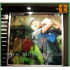 上海高精度戶內(nèi)寫真銀片