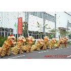 供應(yīng)廣州活動(dòng)物料出租，廣州醒獅隊(duì)