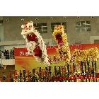 供應(yīng)82南海醒獅隊(duì)，南海舞龍隊(duì)