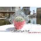 供應(yīng)優(yōu)質(zhì)裝飾玻璃專用蒙砂膏