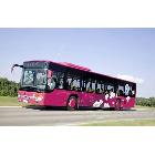 供應(yīng)PVCPVC透氣車貼膜