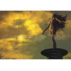 定做各種個性3D印刷