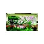 供應深圳噴畫 室內(nèi)噴畫 高精度噴畫  油畫布