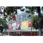 提供服務(wù)生彩TL-ES 深圳生彩 優(yōu)質(zhì)廣告噴畫制作