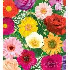 供應(yīng)鞋材花紙