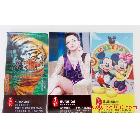 提供服務(wù)生彩TL-ES 深圳生彩 高精度雙面布