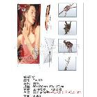 提供服務(wù)生采TL-ES 深圳生彩 優(yōu)質(zhì)展示器材蝶A展架