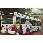 提供服務(wù)生彩TL-XL 深圳生彩 大型噴畫公司 3M車貼