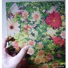 供應(yīng)酒瓶花紙