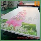 供應(yīng)棉畫布寫真、戶外棉畫布、防水油畫布， 高光油畫布、防水寫真