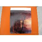 油畫(huà)布印刷機(jī)