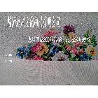 供應(yīng)高光水性弱溶劑肌理油畫布sy763肌理油畫布