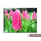 供應(yīng)杭州化纖油畫(huà)布噴繪杭州利郎化纖油畫(huà)布噴繪