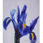 批量印刷帆布畫、高品質(zhì)高清晰印刷油畫、仿真油畫