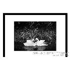 【弘藝相框】黑色簡(jiǎn)約 人物寫真/藝術(shù)照相框 35MM特厚 攝影相框