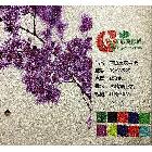 提供服務彩灣BSYW525【直銷】白色壓紋墻紙