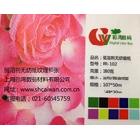 供應(yīng)彩灣供應(yīng)-壁紙（弱溶劑無紡紙)