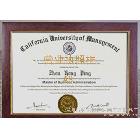 A3/A4營(yíng)業(yè)執(zhí)照框 證書(shū)框 深圳相框廠大量 高檔紅木色 相框