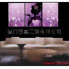 供應(yīng)視嘉HJF1—011現(xiàn)代時(shí)尚裝飾畫