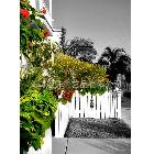 海上噴繪仿真海景風(fēng)景油畫 廠家直銷17987