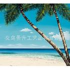 油畫批發(fā)小商品畫報純手繪油畫批發(fā)擺件 HT 9888