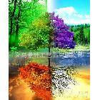 自然風景四季變幻噴繪仿真油畫，海景、人物、風景仿真油畫17970