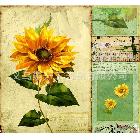 向日葵噴繪畫，電腦高清噴繪，廠家直銷，臥室書房裝飾畫19285