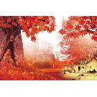 供應(yīng)華美畫芯裝飾畫畫芯 批發(fā)裝飾畫畫芯