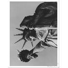 供應(yīng)華美裝飾畫畫芯高清晰裝飾畫畫芯高品質(zhì)裝飾畫畫芯