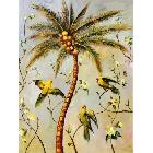 供應(yīng)華美裝飾裝飾畫畫芯、卡紙畫畫芯批發(fā)定做