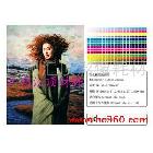 供應(yīng)油畫布，廣州，濟(jì)南，西安發(fā)貨