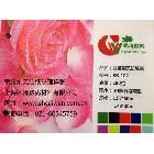 【專業(yè)生產(chǎn)】白色壓紋壁畫【質(zhì)量可靠】