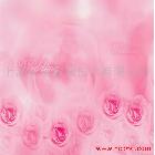 供應強化玻璃輔料,水性材料