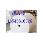 美國(guó)GE白色防火PC FR1
