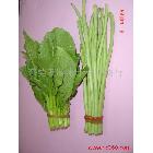供應(yīng)用于青菜類橡膠圈,環(huán)保橡皮筋