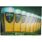 供應(yīng)廣告牌、塑料彩色印刷、PP吊牌、PVC彩色印刷