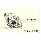 MI卡、校園卡、環(huán)保卡、查詢卡、沖值卡、卡