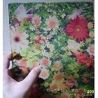 供應玻璃貼13713130431