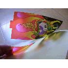 供應(yīng)彩色透明貼紙 東莞專業(yè)生產(chǎn)透明貼